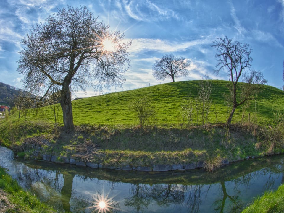 Landschaft mit Bäumen, grünen Wiesen und der Sonne am blauen Himmel, die sich in einem Bach spiegelt. 