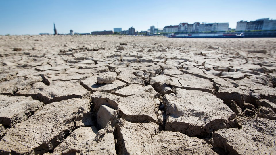 Klimahistoriker Pfister: «Wir müssen lernen mit diesen Dürren zu leben»