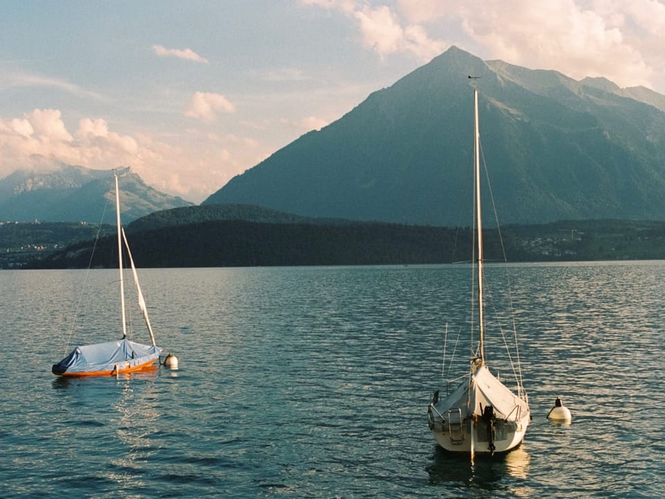 Thunersee mit zwei Segelbooten. Der Niesen im Hintergrund