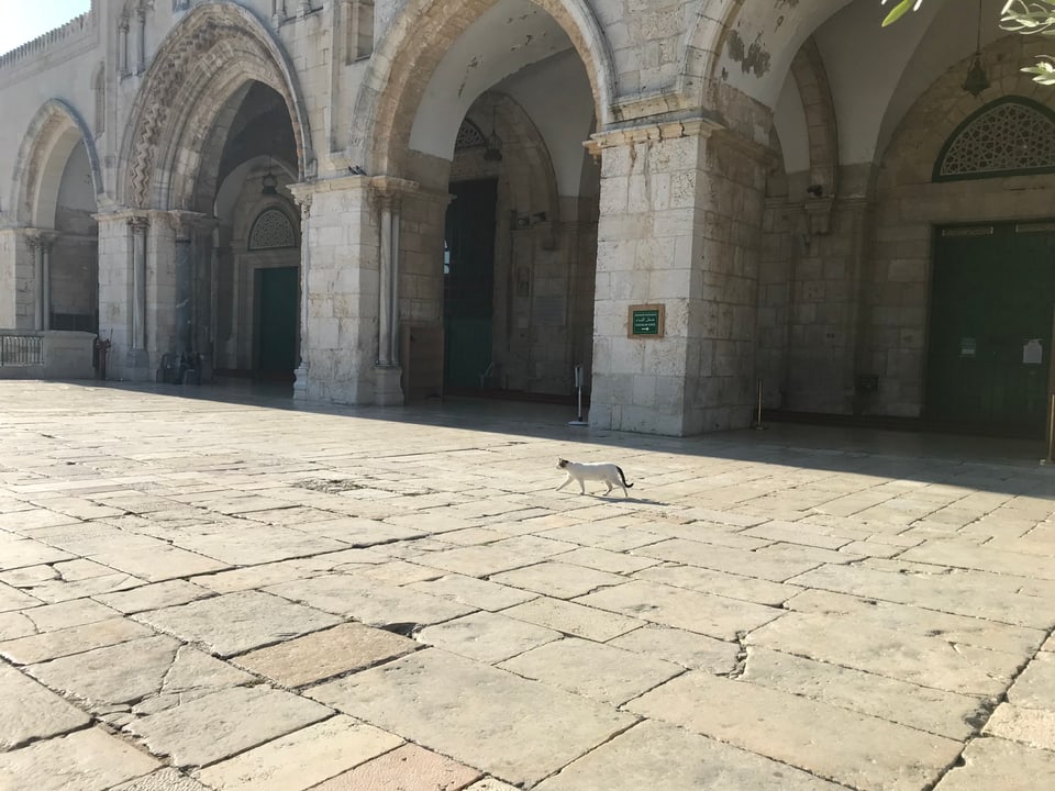 Eingang zur Al-Aqsa-Moschee.