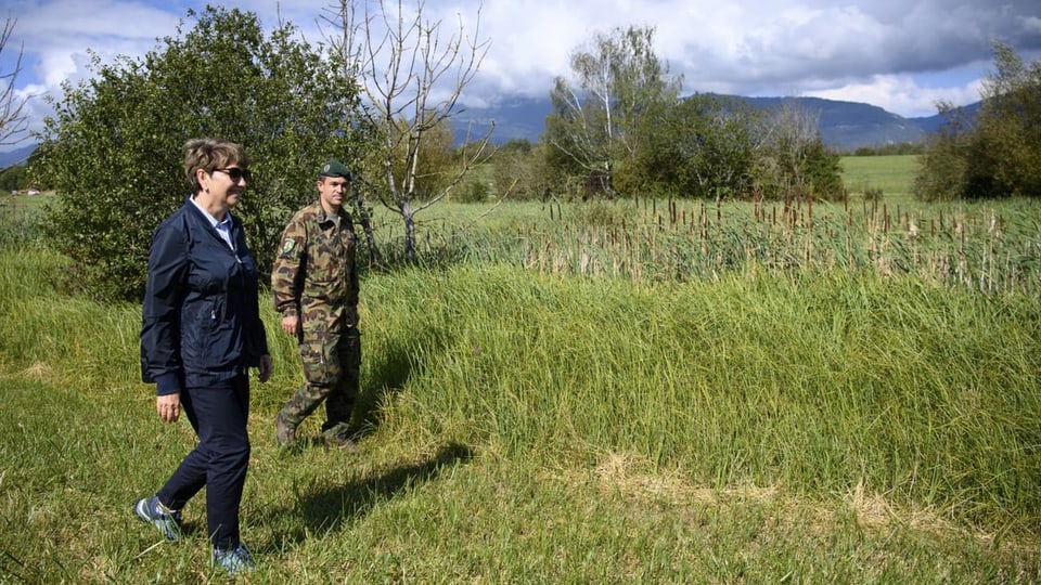 Biodiversitad amez la plazza d'armas Biodiversitad amez la plazza d'armas
