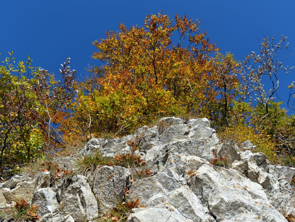 Herbststimmung.