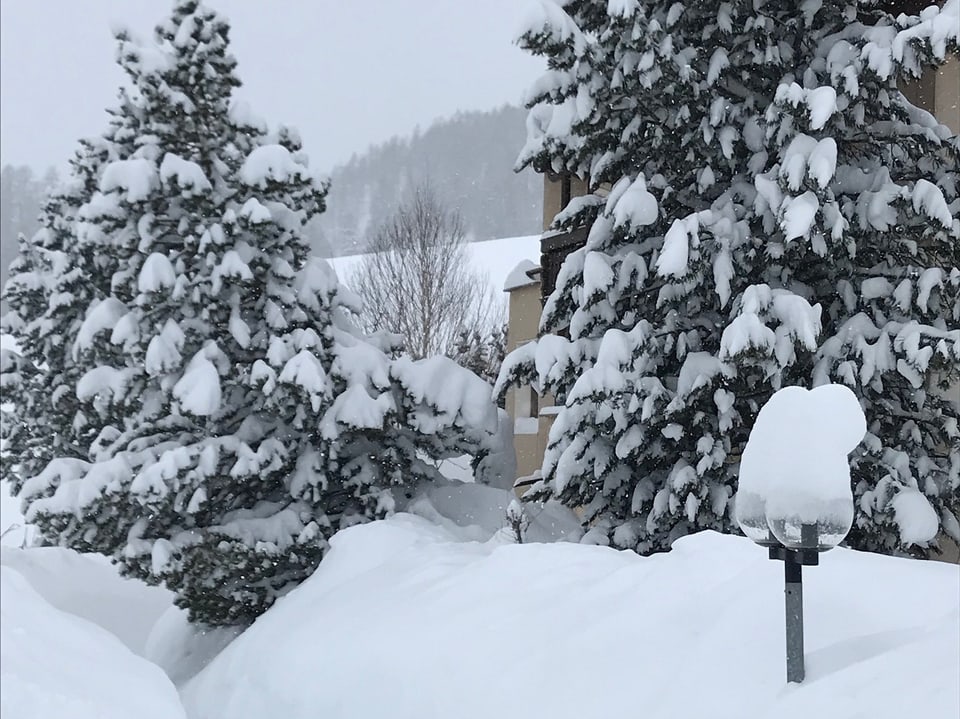 Weg zu einem Haus, total verschneit, auch die Tannen daneben sind voller Schnee