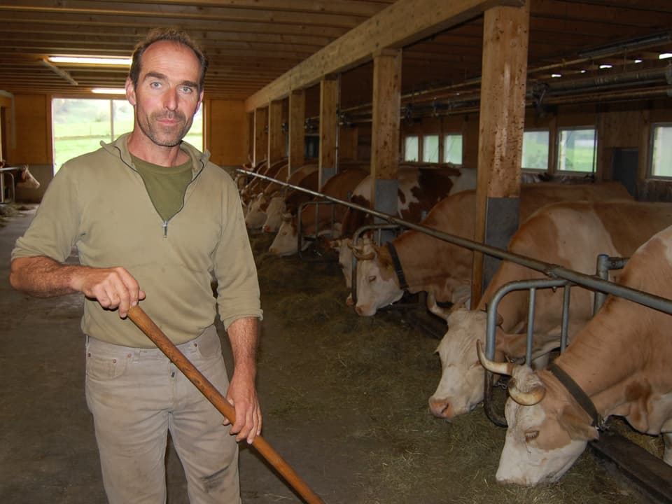 Landwirt und Viehzüchter Andreas Wittwer in seinem grossen neuen Stall voll Simmentaler.