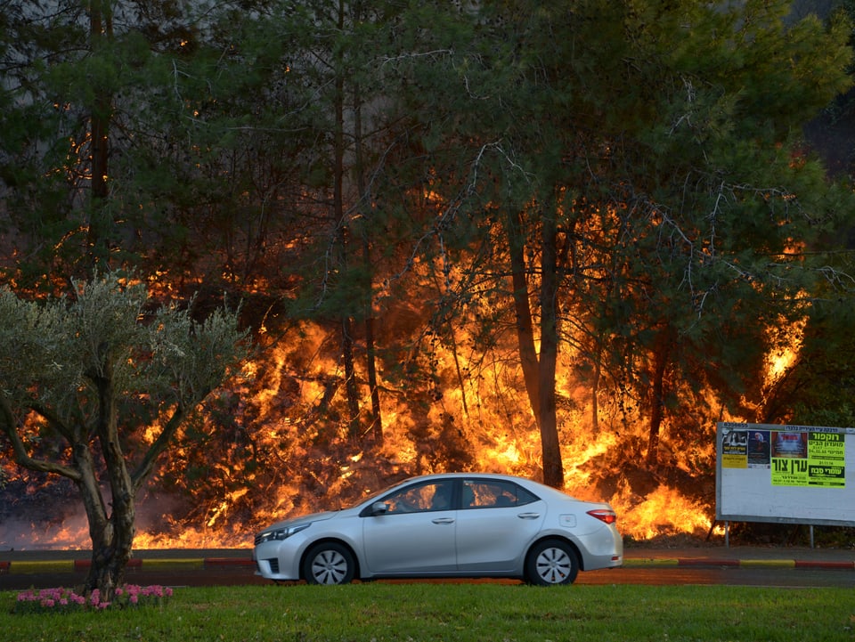 Auto fährt an brennendem Wald vorbei.