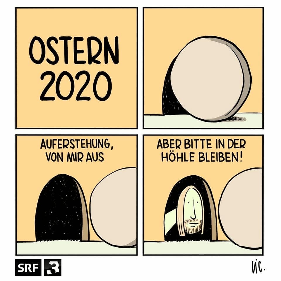 SRF 3-Cartoon