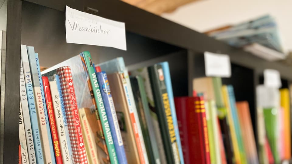 Bücherregal mit klaren Kategorien