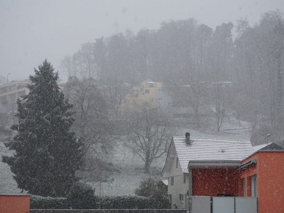 Weisst Du wieviel... Schneegestöber in Fällanden, von Jürg Zogg, gezählt.