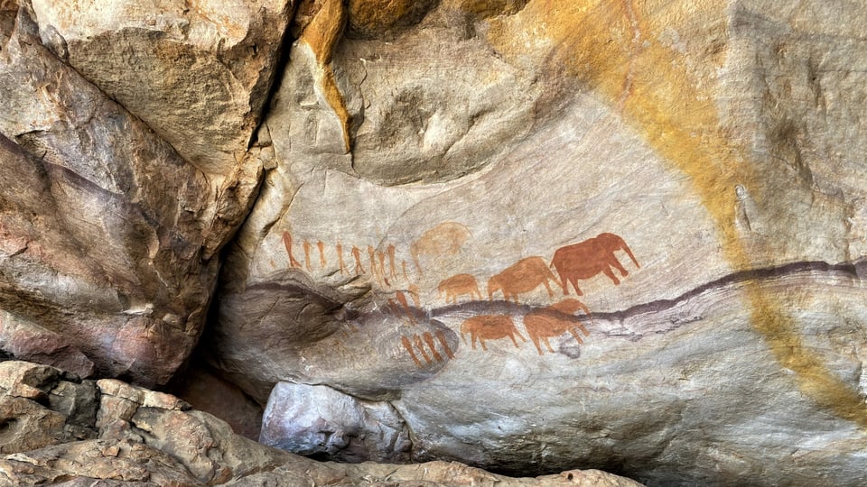 Höhlen-Tierzeichnung der Khoi-San in den Cederbergen Südafrikas.