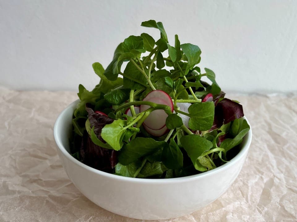 Salat mit Brunnenkresse  in einem weissen Schälchen.