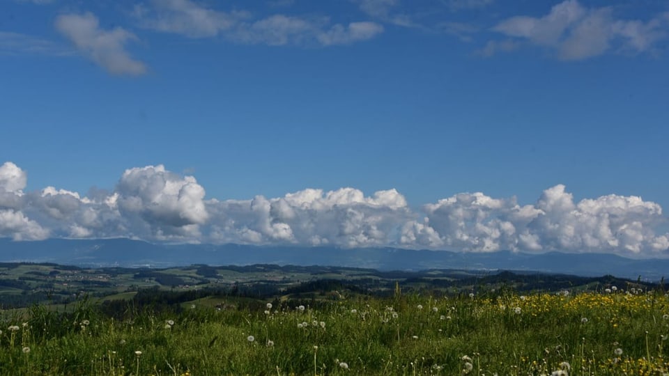 Meteostory vom 25.05.2022