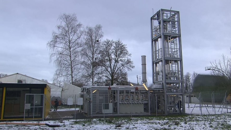 Wie Einzeller für Solarstom im Winter sorgen
