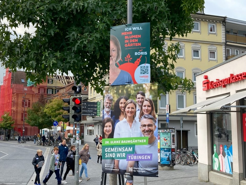 Wahlplakate an einer Strasse.
