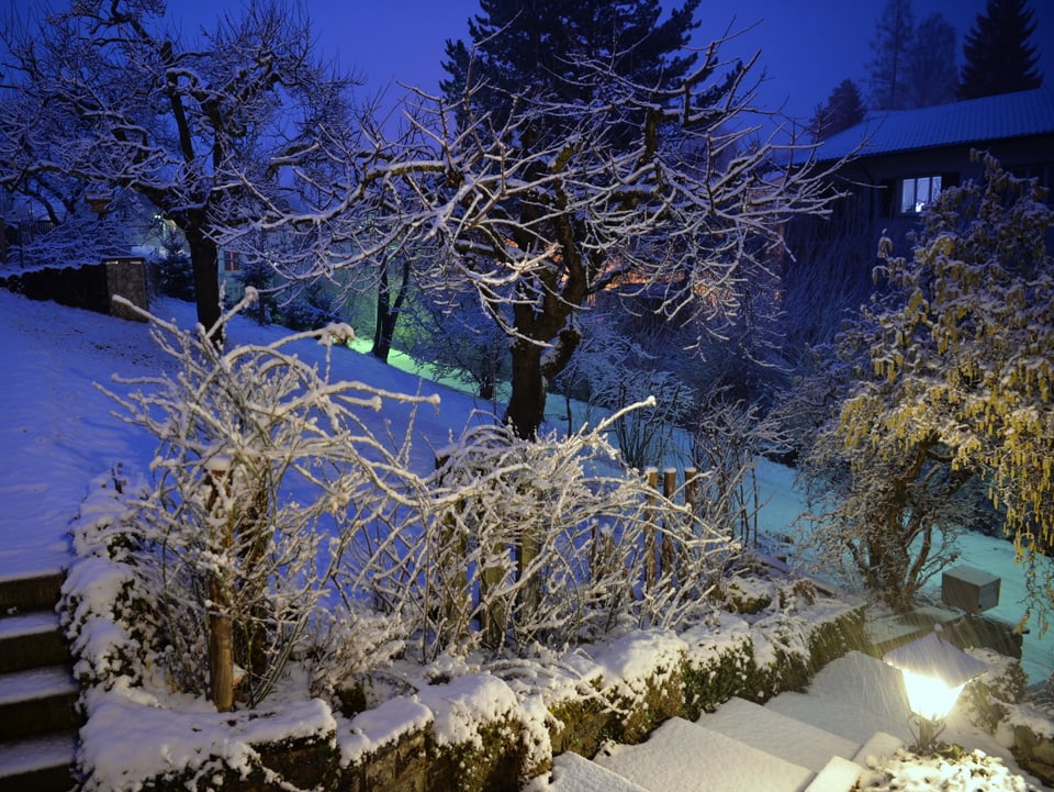 Garten bei Nacht mit Neuschnee