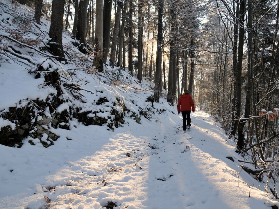 Eine Person läuft durch den verschneiten Wald.