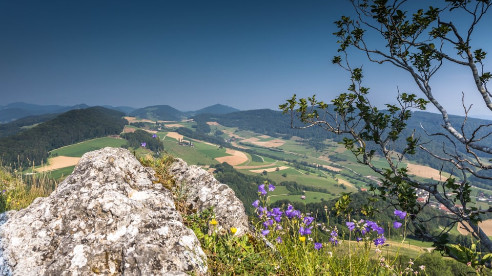 Blick von der Gisliflue über die Höhenzüge des Juras.