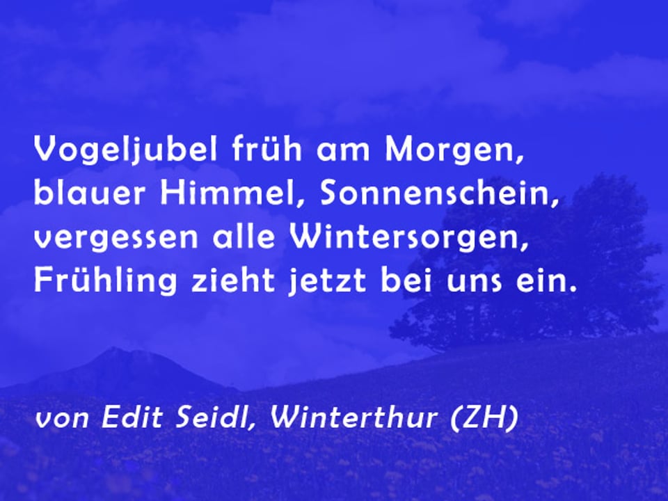Gedicht von Edit Seidl: Vogeljubel früh am Morgen, blauer Himmel, Sonnenschein, vergessen alle Wintersorgen, Frühling zieht jetzt bei uns ein.