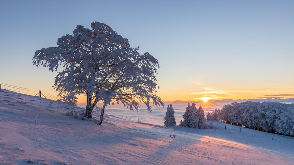 Winterlandschaft mit Sonnenaufgang. 