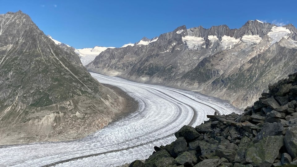Blick auf den ausgeaperten Aletschgletscher Mitte Juli.