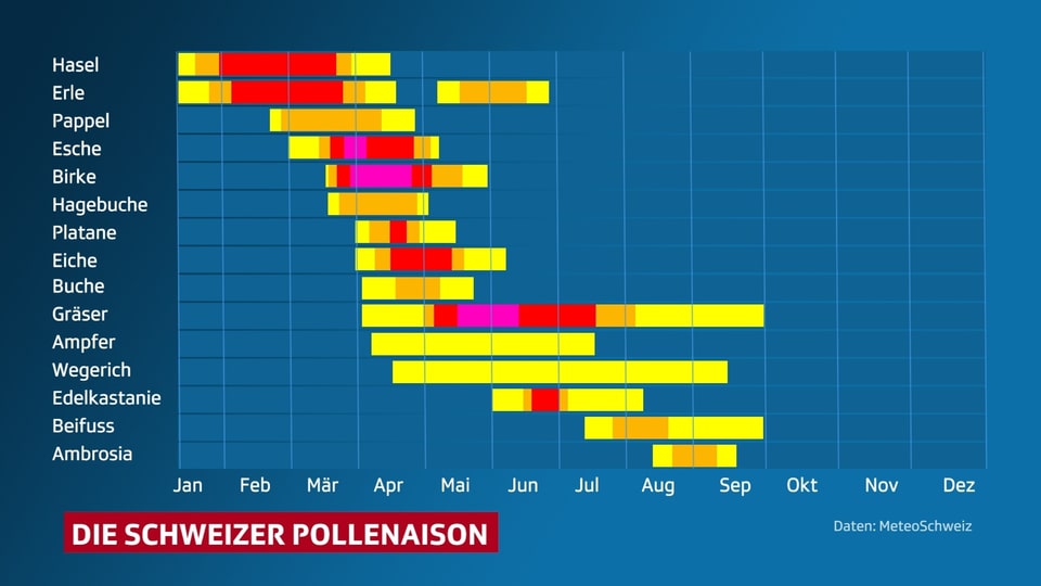 Der Schweizer Pollenkalender