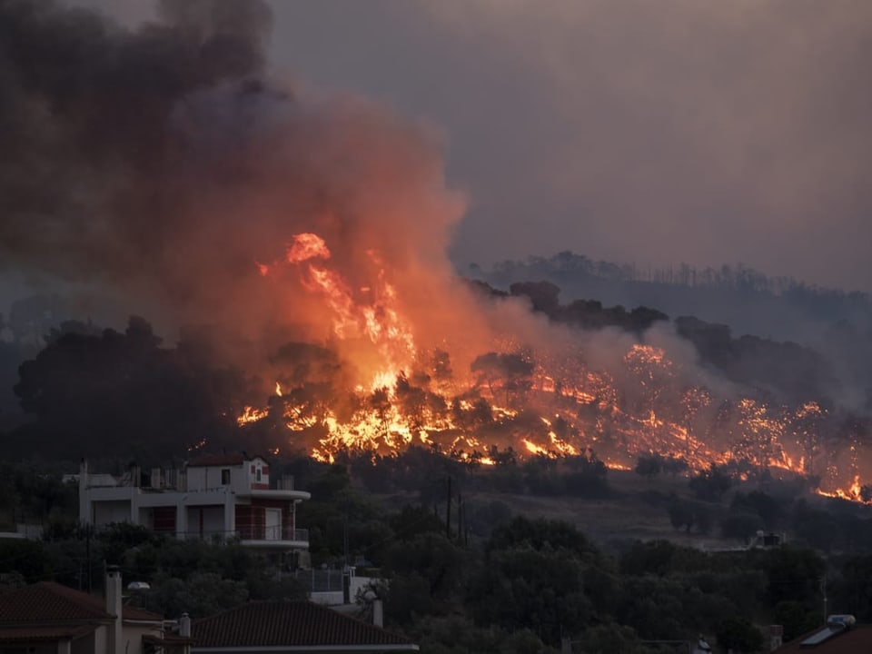 Waldbrand in Griechenland, im Vordergrund eine Wohnsiedlung