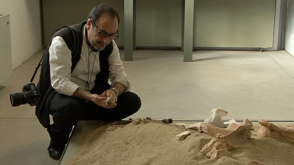 Der Paläontologie-Professor Gian Luigi Pillola bei der Arbeit.