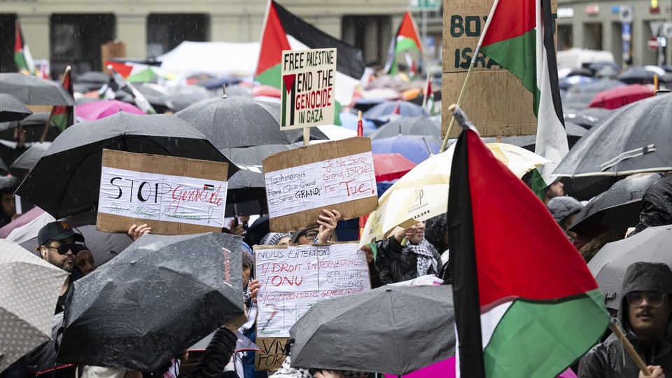Menschen demonstrieren im Regen mit Schildern und Fahnen.
