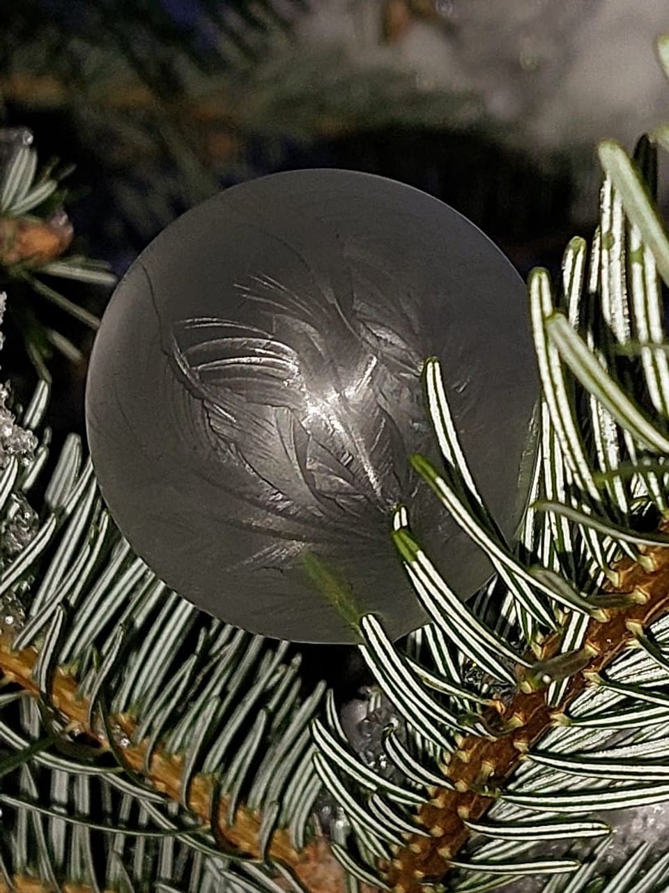Grafenried/BE Gefrorene Seifenblase auf einem Ast.