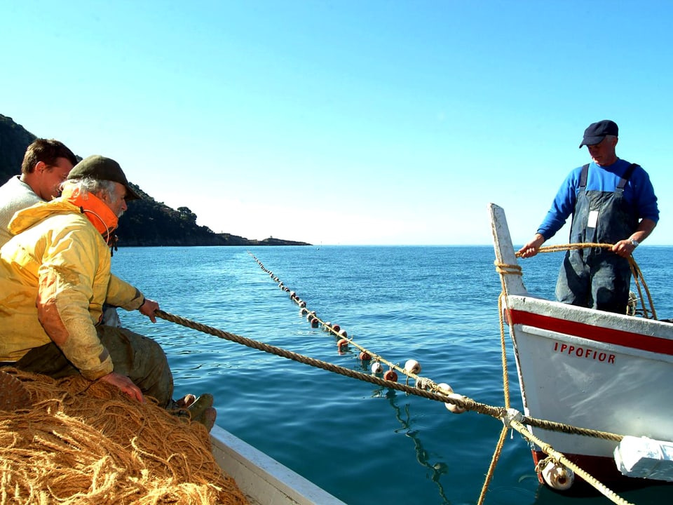 Drei Fischer auf zwei Booten mit Netzen in den Händen.
