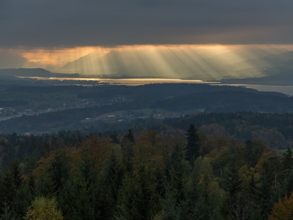 Blick vom Pfannenstil zum Glarnerland. Die Stimmung ist mehrheitlich grau, doch im Hintergrund erhellen goldene Strahlen den oberen Zürichsee.