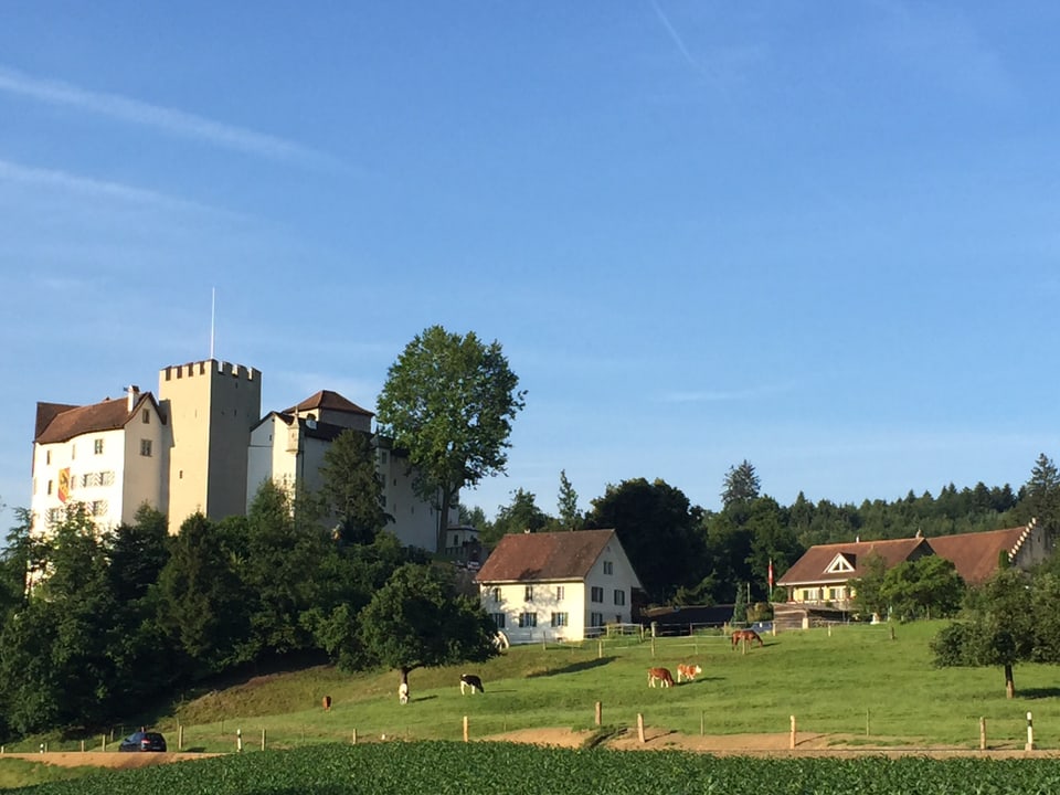 Schloss Wildenstein aus Richtung Veltheim gesehen.