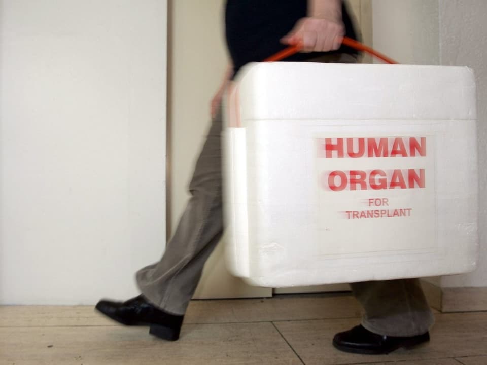 Ein Mensch mit einer Kühlbox mit der Aufschrift «Human Organ für Transplant».