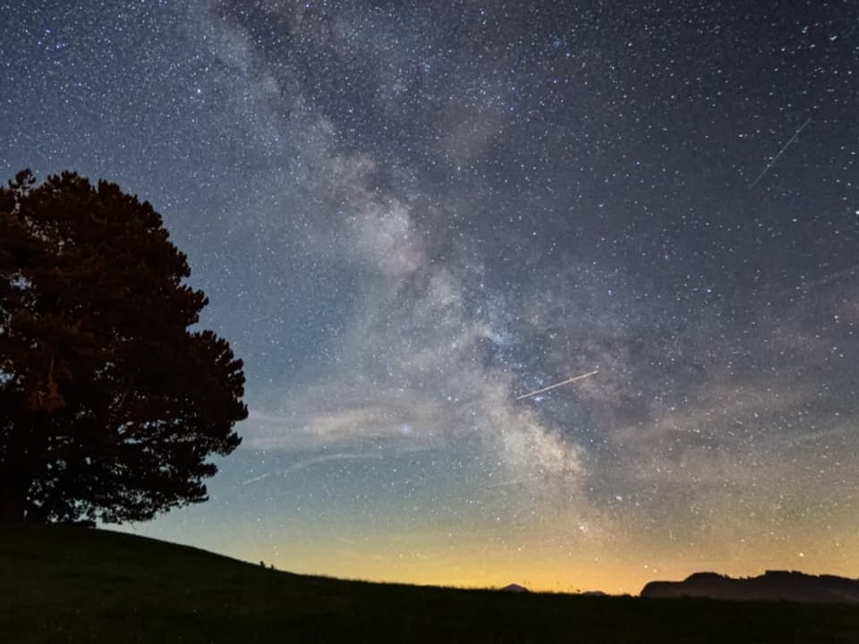 Sternenhimmel mit Ansammlung von Sternen quer über dem Horizont, links Konturen eines Baums.