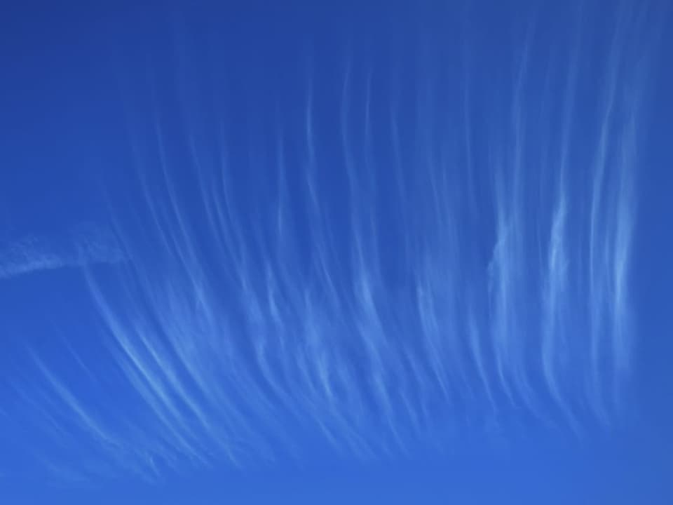 Cirren – Schleierwolken am Himmel.