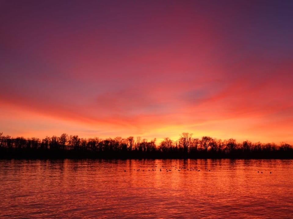 Dreiländereck/BS Abendlicht am Rhein