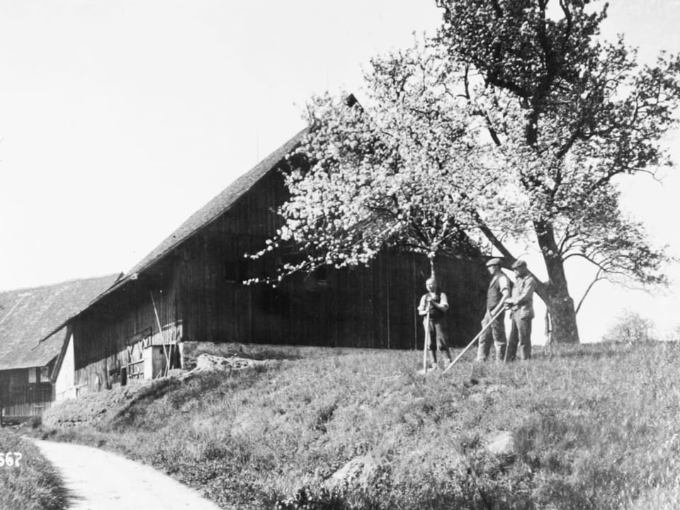 Die Umgebung des Brunnenhofs