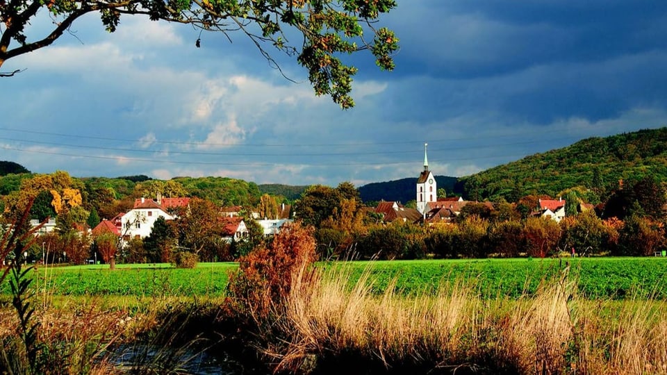 Blick auf Riehen