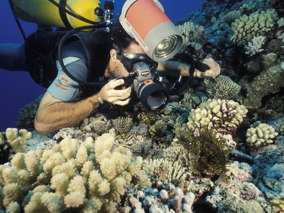 Ein Taucher fotografiert Ausschnitte des Korallenriffs.