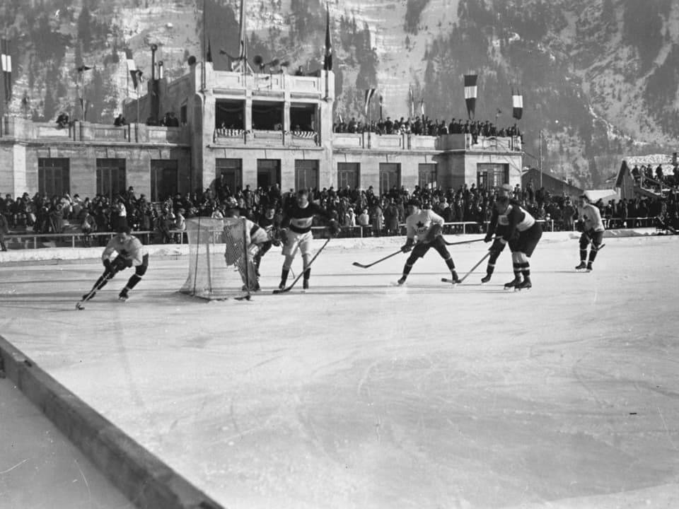 Eishockeyspieler auf dem Eisfeld, direkt vor der Haupttribüne.
