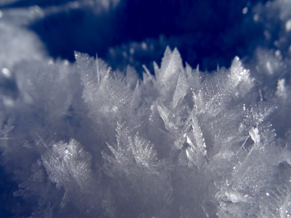 Eine Makroaufnahme zeigt wunderschöne Eiskristalle.