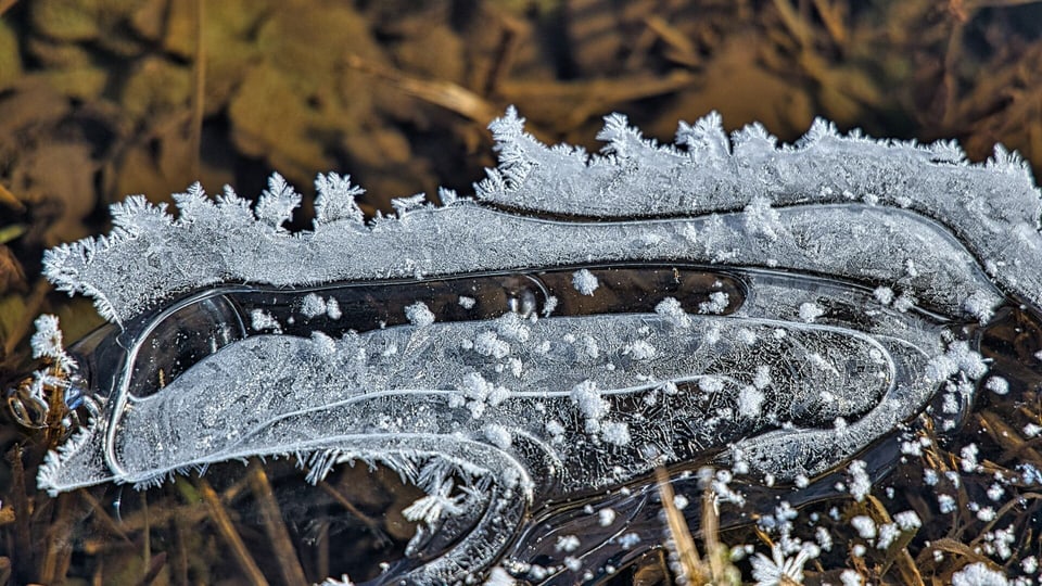 Eiskristalle auf gefrorenem Wasser