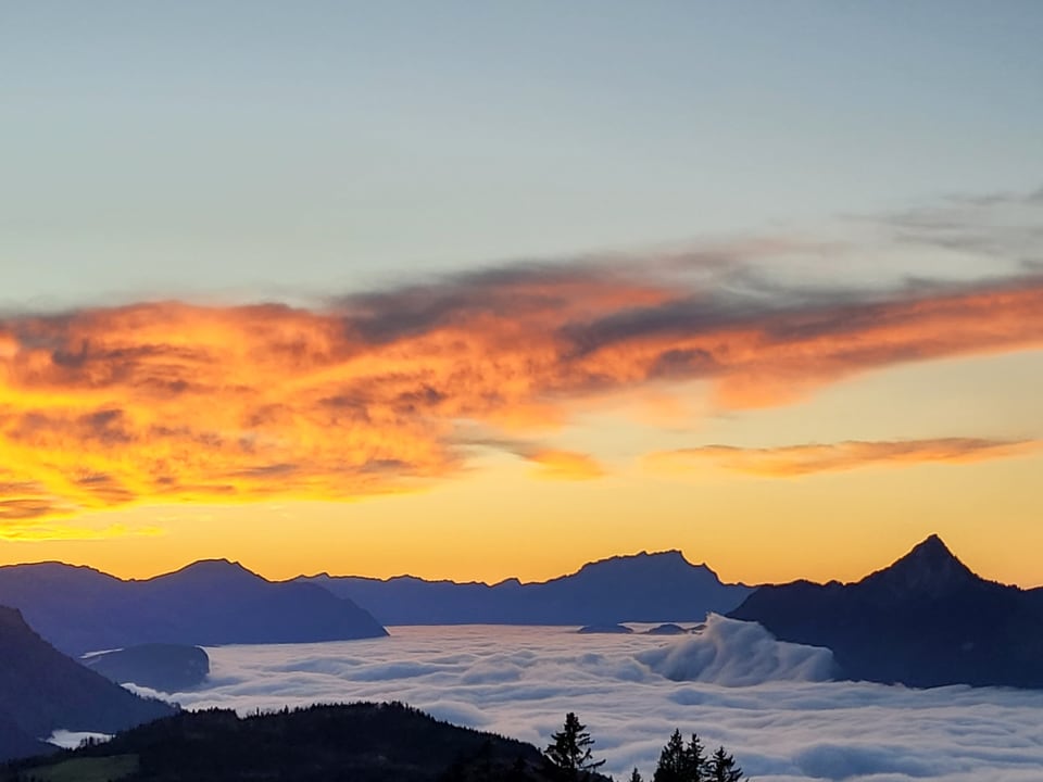 Sternenegg/SZ Nebelmeer mit orangem Himmel.