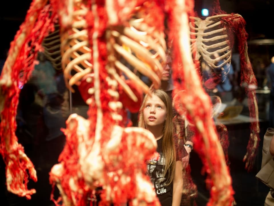 Ein Kind bestaunt eine plastinierte Leiche.
