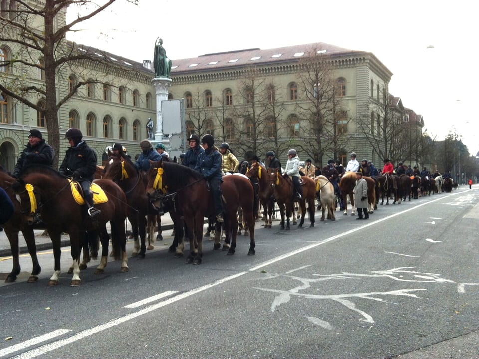 Pferdekolonne auf der Strasse