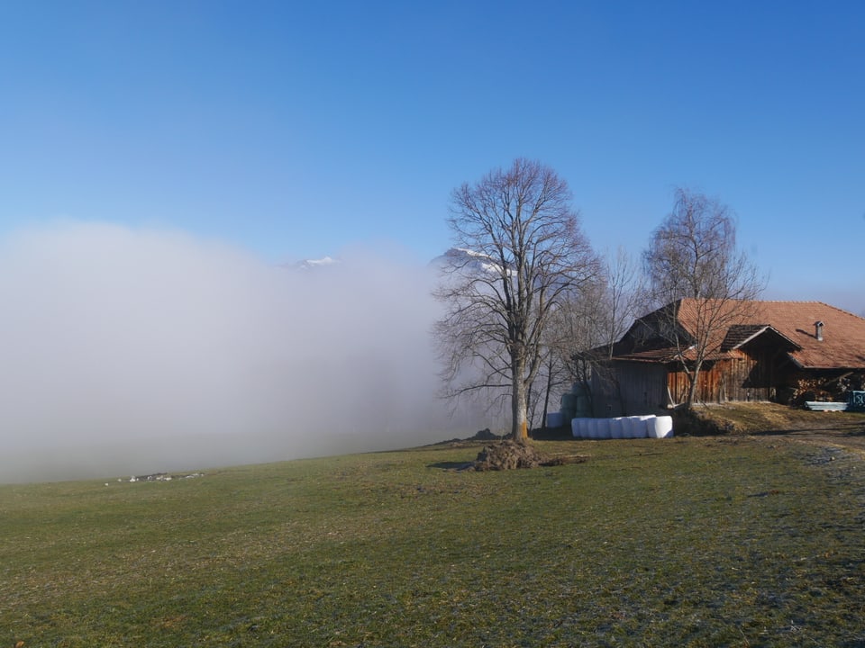 Bauernhaus an der Nebelgrenze
