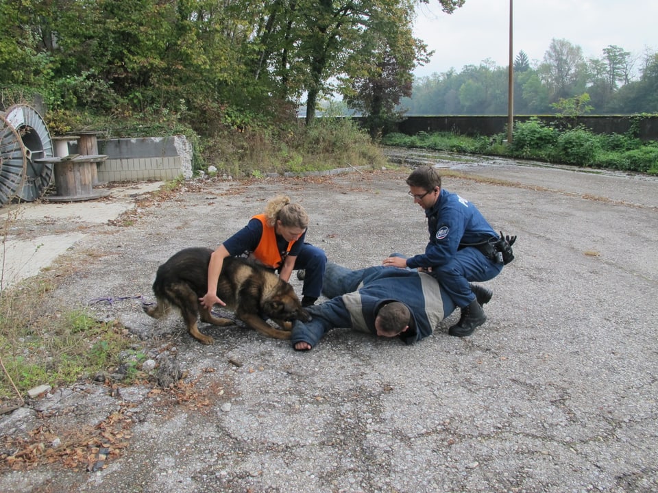 Polizist und Hundeführerin halten Mann zusammen mit Hund in Schach.
