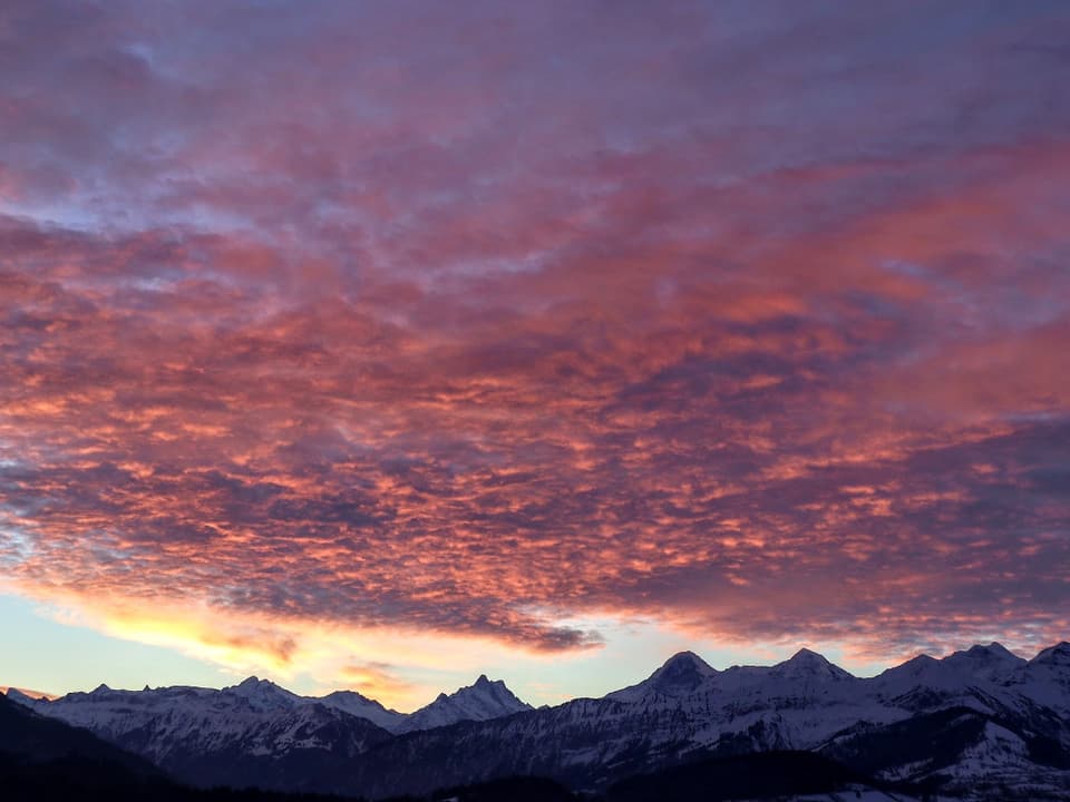 Schönes Morgenrot über den Berner Alpen