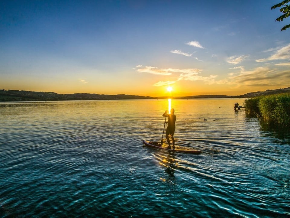 SUP'ler auf einem See während des Sonnenuntergangs