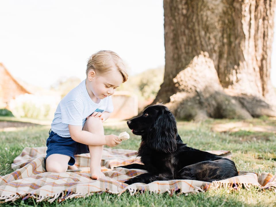 Prinz George posiert zusammen mit seinem Hund auf einer Picknickdecke fürs Foto.