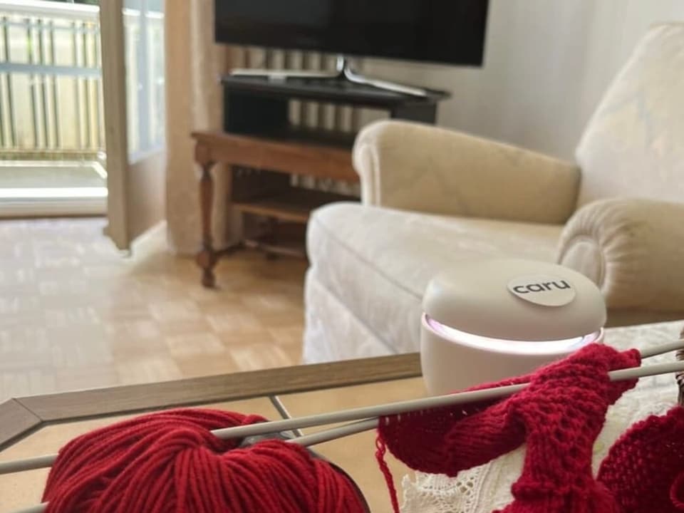 Sofa, a voice assistant device in the foreground.